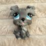 Hasbro Grey Schnauzer Littlest Pet Shop Dog 1393 approx. 5 cm. Used Please see photos Image 3