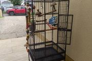parrot cage for sale