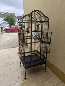 parrot cage for sale