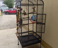 parrot cage for sale