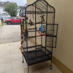 parrot cage for sale