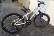 Carrera Luna 20 inch wheel MTB