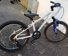 Carrera Luna 20 inch wheel MTB