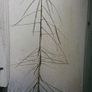 New Zealand shrub/ tree Image 5