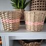 plant pots Image 2