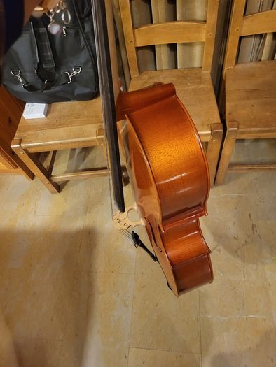 3/4 Primavera Prima 200 Cello - Full Outfit with New Bag, Bow, Strings - Limerick