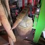 Forged Anvil 160KG/355LB Image 4
