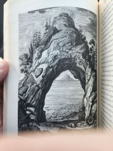 Stephen Jay Gould. Leonardo's Mountain of claims and the Diet of Worms. Hardback With Dustjacket In Good Condition.