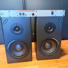 Passive Monitor Speakers & 19" rack mount amp