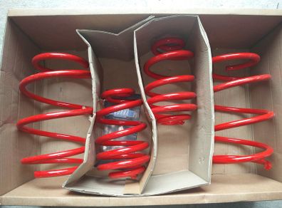 BMW E46 1998 - 2005 Lowering Springs