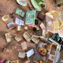 Sylvanian Families Collection Image 8