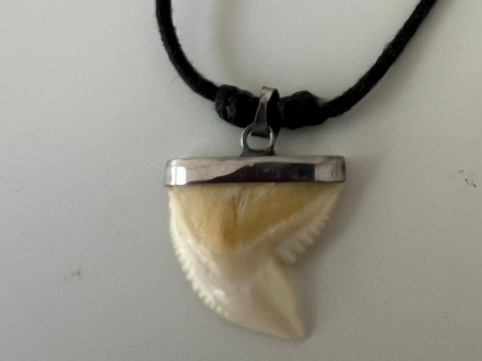 Gents Neck Piece