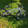 frog bike Image 4