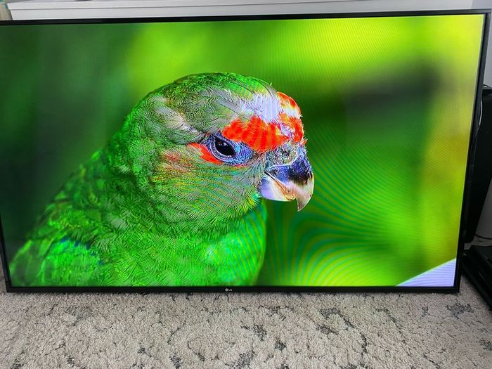 LG 65 inch