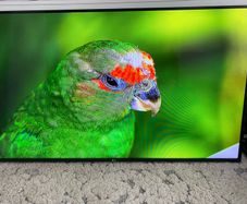 LG 65 inch