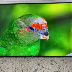 LG 65 inch