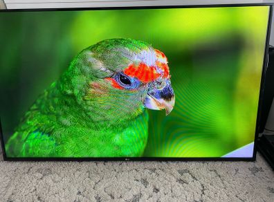 TV 65 inch