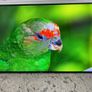 LG 65 inch Image 2