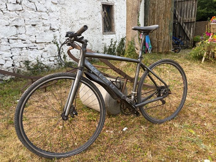 Carrera Bike