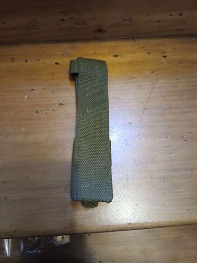 p1907 canvas frog