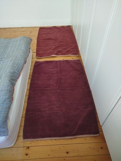 Two light rugs