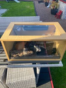 reptile vivarium