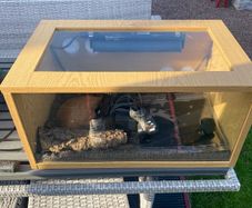 reptile vivarium