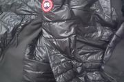 Canada Goose Hybrid