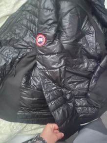 Canada Goose Hybrid