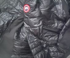 Canada Goose Hybrid