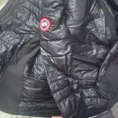 Canada Goose Hybrid