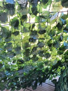 Leaf screening