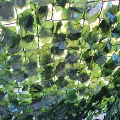 Leaf screening