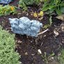 garden Image 5