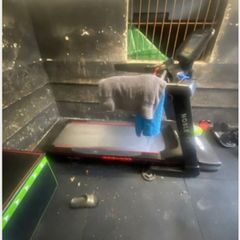Noble Pro E8.0 bluetooth treadmill