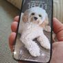 Apple iphone 14 Pro Image 6