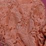 Stunning Wallis Lace Occasion Dress Image 2