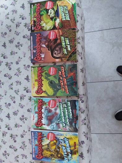 Goosebumps Rl Stone For Sale in Mullingar, Westmeath from Oaktree123