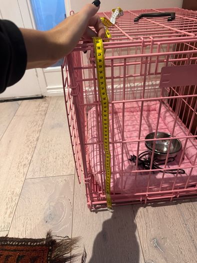 dog crate