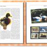 2004 Jersey (Channel Islands) Stamp Year Book (softback) issued by Jersey Post with 16 images of contents Image 7