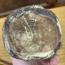 Austrian Art Noveau Tobacco Jar Bloch & Co late 19th C Image 2