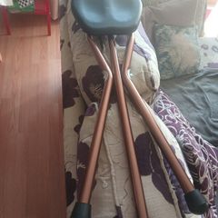 walking stick with seat