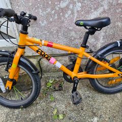 frog bike
