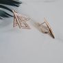 Brand New Earrings Image 2