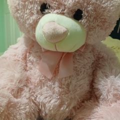 Pink bear