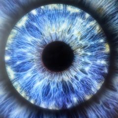 120 euro voucher for Iris Photography Cork