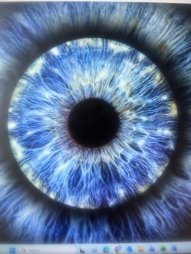 120 euro voucher for Iris Photography Cork