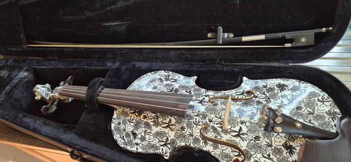 Thomann Dark Meadow Violin 4/4 with case