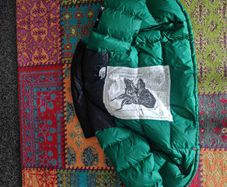 supreme x north face green nuptse