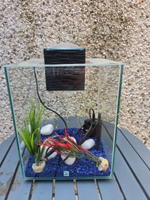 fish tank